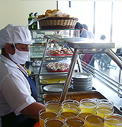 Concesión de Alimentos