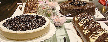 Visite Nuestra Galería