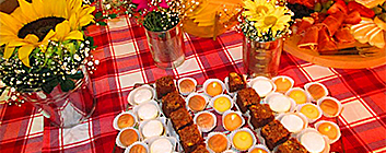 Visite Nuestra Galería